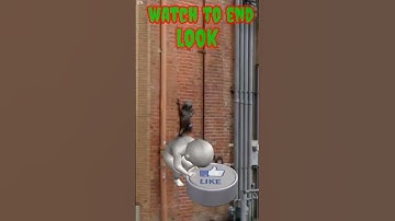 😱🧟I Found Giant Frog In Google Earth and Google Maps 🗺️🌎#shorts #earth #map #viral😲😵