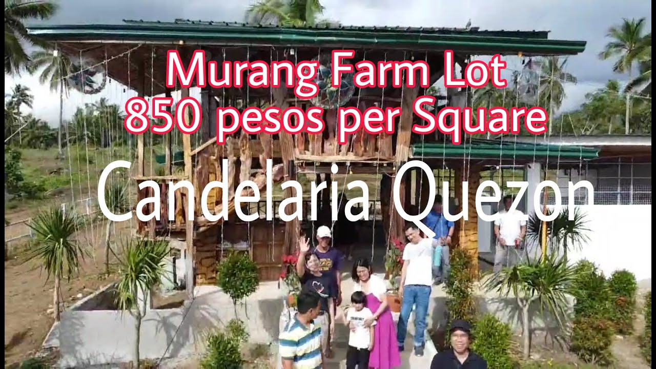 FARM LOT SA CANDELARIA QUEZON 850 PESOS PER SQ.M. YouTube