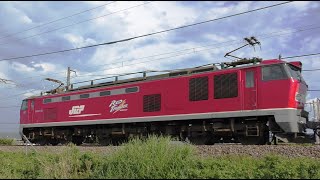 レッドサンダーEF510-23牽引高速貨物【4K】信越本線下り3097レ