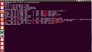 install lnmp on ubuntu 14 04 3 php5 fpm fix
