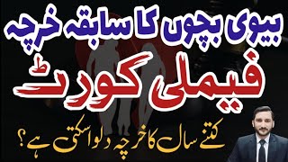 Past Maintenance Maintenance Of Wife & Children Bachon Ka Kharcha Family Court Family Law