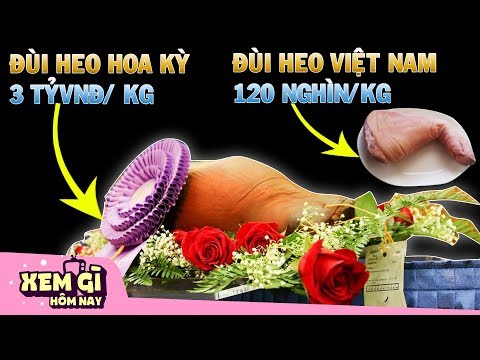 Video: Thịt Lợn Hoàng Gia