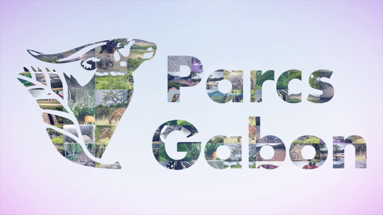 Chronologie de l'histoire du Parc National de la Lopé. - YouTube