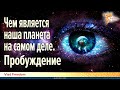 Чем является наша планета на самом деле. Пробуждение. Что такое душа. Урожай душ. Vlad Freedom