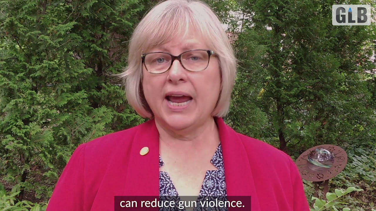 "Red Flag" bills introduced could help reduce domestic violence