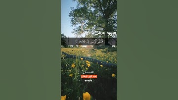سورة عبس SURAH ABASA #عبدالولي_الاركاني #abdulwali_alarkani