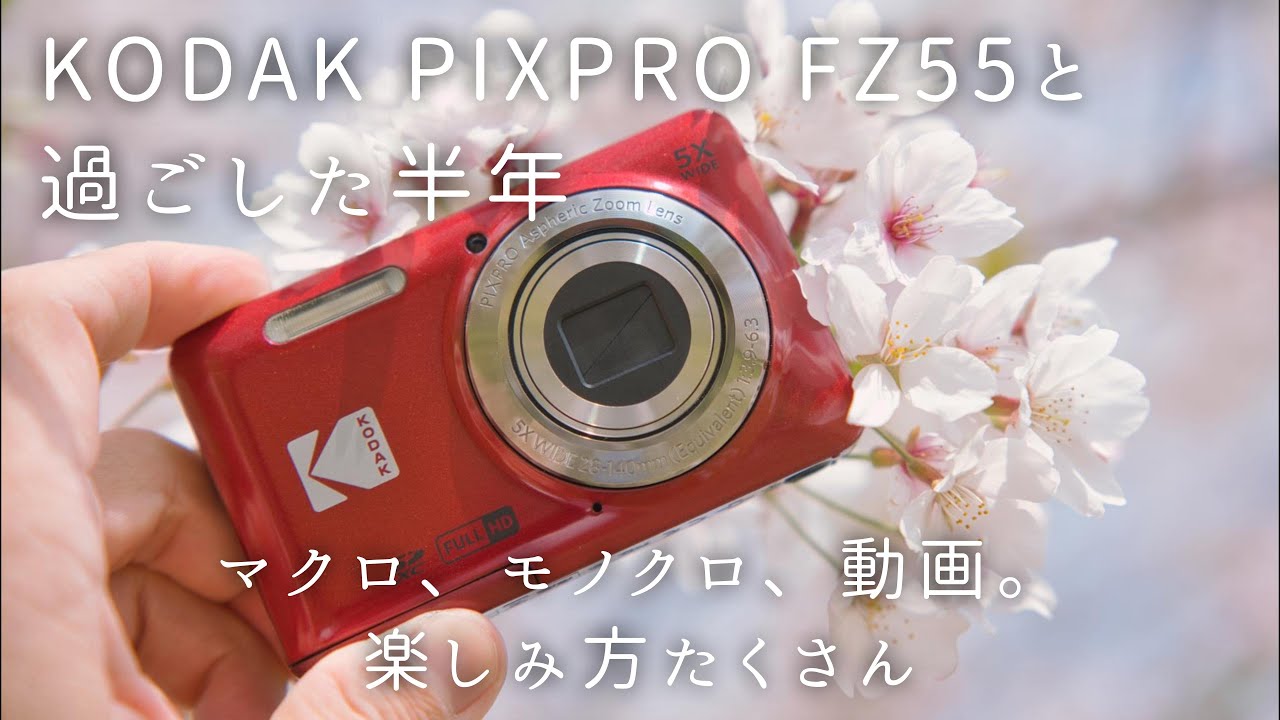 【新しい仲間】半年間KODAK PIXPRO FZ55と過ごして更に好きになってしまった人