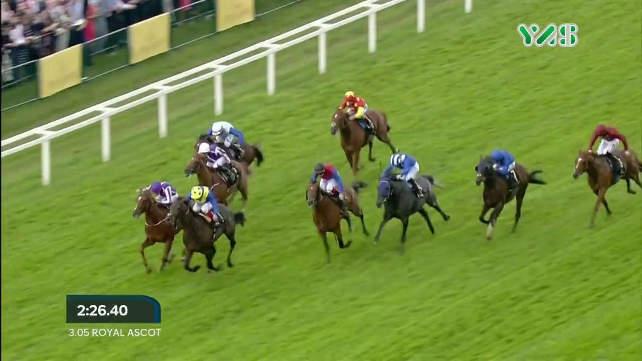 ملخص اليوم الرابع - رويال أسكوت