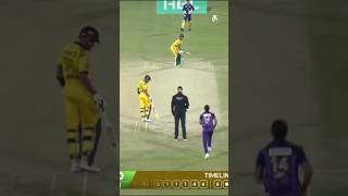 Zalmis Are All Pumped Up