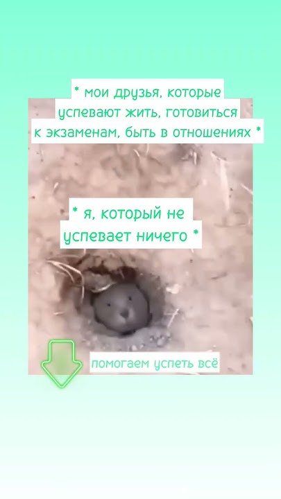 Жиза | Мемы ЕГЭ - YouTube