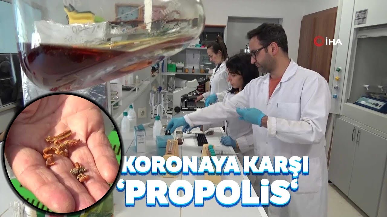 Doç. Dr. Kekeçoğlu, “Propolis Koronavirüse Karşıda Etkili Olabilir”