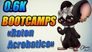 0.6K BOOTCAMP  «RATÓN ACROBATICO» | TRANSFORMICE