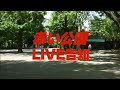 ランドリーで漂白を LIVE告知/赤い公園