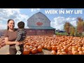 WEEK IN MY LIFE AS A MOM WITH A 1 YEAR OLD 🍂
