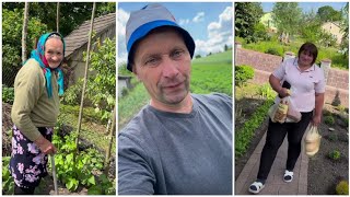 ТЕЩА ВЖЕ ПЛАНУЄ, ЯК БУДЕ ВИНО ПИТИ З ВЛАСНОГО ВИНОГРАДУ🍇VLOG: 03.06.24/1