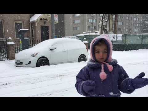 Video: Wêreldbeker-toernooi Vir Yshokkie 2019: Hersiening Van Die Wedstryd Kanada - Frankryk