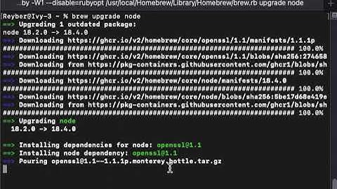 Upgrade Node js using Homebrew