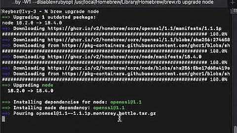 Upgrade Node js using Homebrew