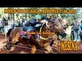 7 MESINA - CLASICO - HIPICO OJO DE AGUA - MISIONES - 17-06.2023