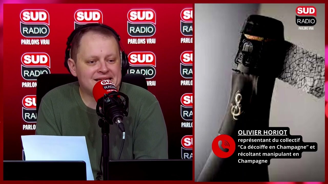 Écologie : des vignerons veulent décoiffer le champagne