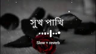 সুখ পাখি তোর প্রেমে মন মজাইয়া আমি / Shukh pakhi tor preme /bm baplu official | F A FUMON | lofi song