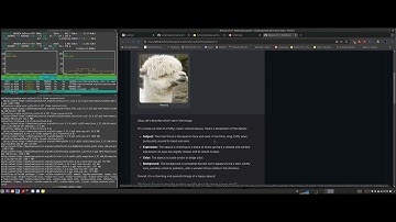 Local AI Recognizes Your Pictures - Oobabooga Multimodal Install