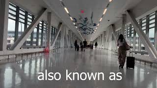 Train x express bus: NYC to EWR Newark Liberty airport