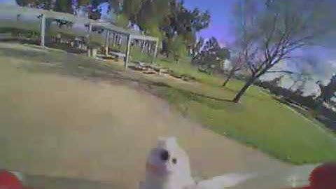 Inductrix FPV Plus - Straight Out Of The Bag! (with Crash)