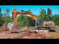 Cat 345D deforesting