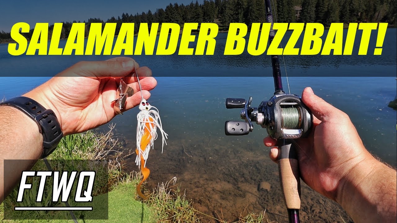 TOPWATER BUZZBAIT with SALAMANDER Trailer. Topwater Fishing. Spring  Largemouth Bass Fishing!!! 