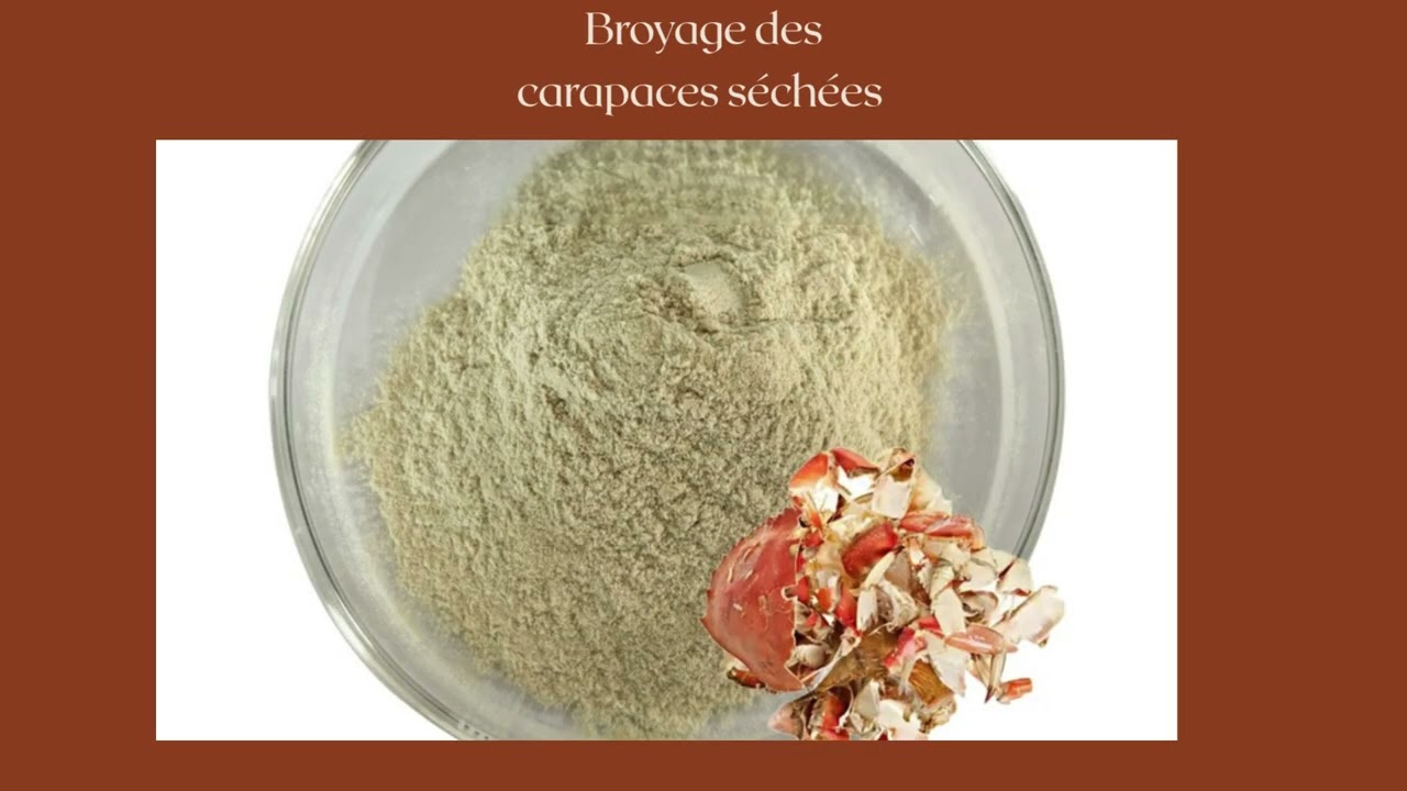 Extraction de chitosane à partir des carapaces de CRUSTACES (crevettes et crabe)