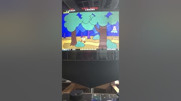 Mister Fpga Time Pac-Land