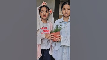 NGƯỜI CHỒNG VŨ NỮ #tranvyvy