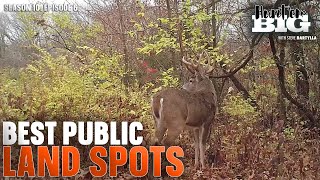 How to Find Public Hunting Spots That Aren't Pressured