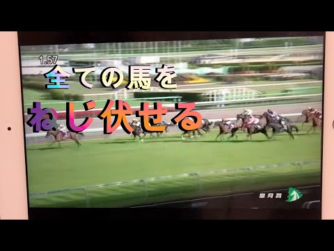 皐月賞GⅠ アンタレスステークスGⅢ 大反省会〔エフフォーリアの圧倒的な強さ！〕