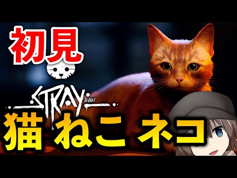 【Stray】地上を目指す猫【新人Vtuber】