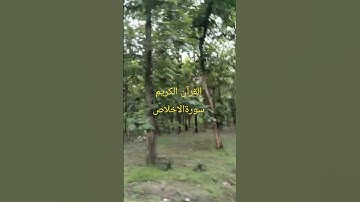 #سورة_الإخلاص #ikhlas #القرآن_الكريم