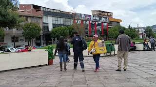 broma macetero cusco 3