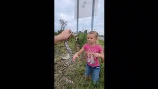 Michigan copperhead snake?