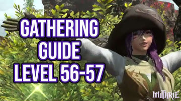 FFXIV 3.0 0681 Gathering Guide Level 56 to 57