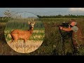 Roebuck Hunting in the Rutting Season - Blattjagd auf den Rehbock