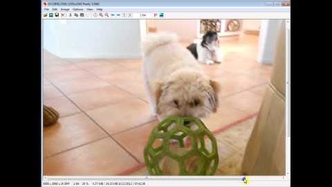 Download and Use IrfanView to Edit images