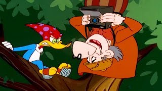 Woody Woodpecker Show | Woody Watcher | 1 Hour Compilation | Videos For Kids