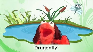 Dragonfly Song  Lyric Video