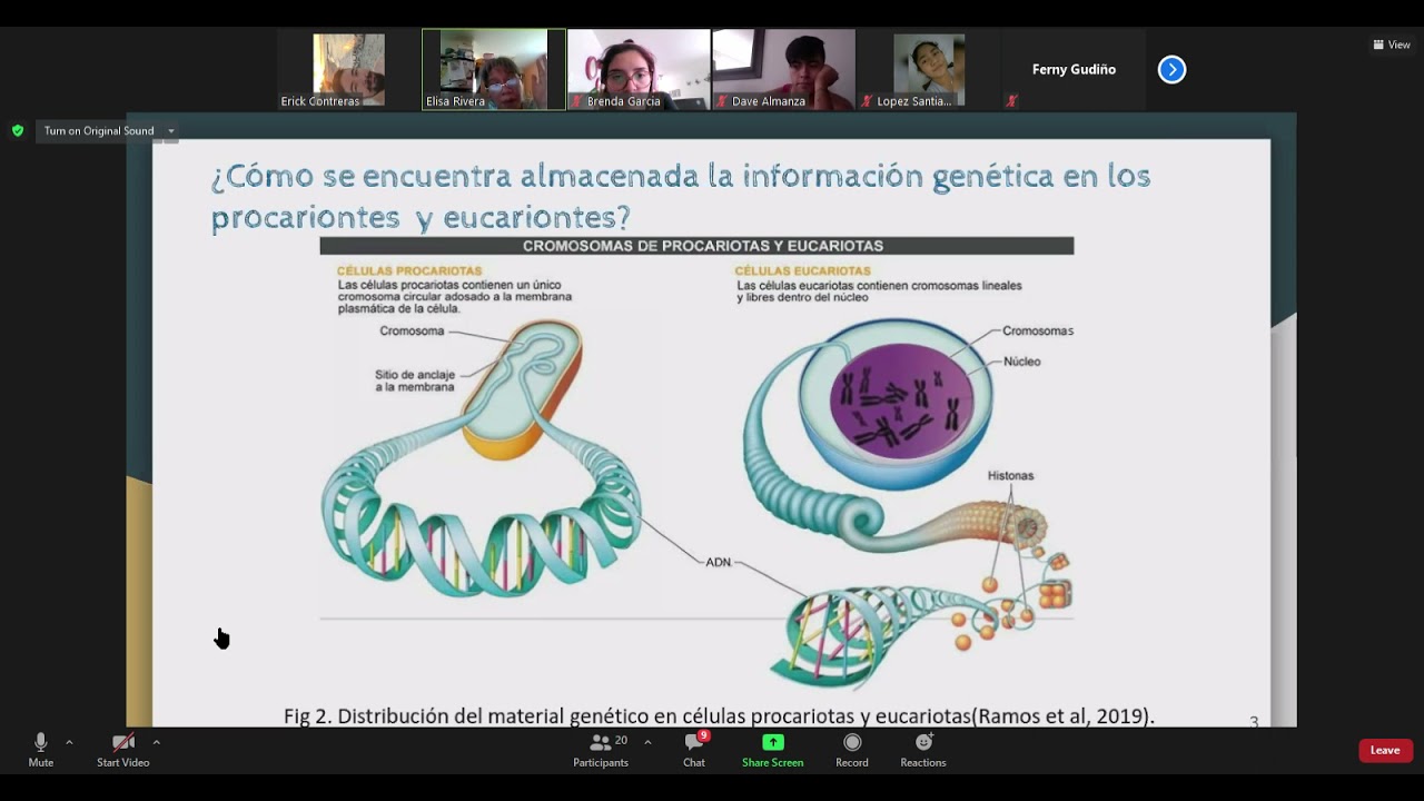 Practica 6 Bioquímica Microbiana parte 1antecedentes