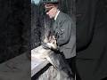 Najdziwniejsze Prawa które Ustanowił Hitler! #historia