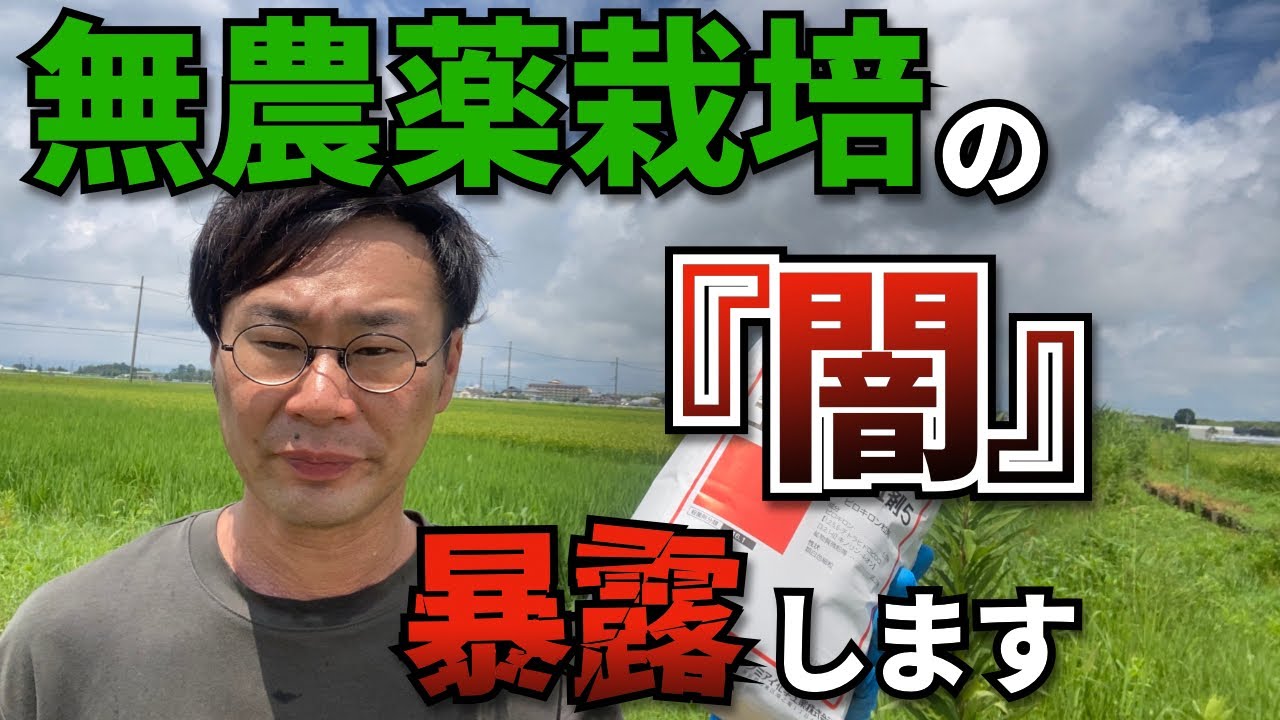 無農薬栽培の『闇』を暴露します