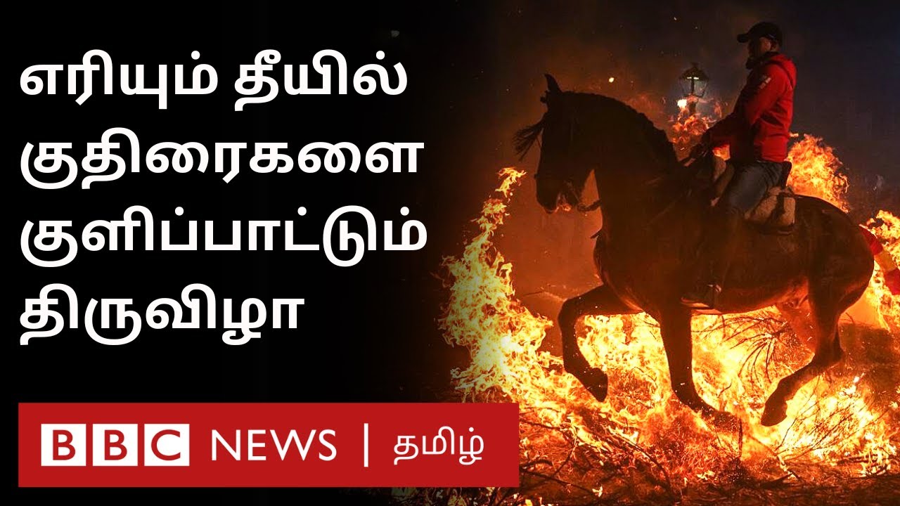 Horses Jump Over Fire: நெருப்பில் குதிரை சவாரி - எதற்காக இந்த  வினோத திருவிழா? | Spanish  Festival