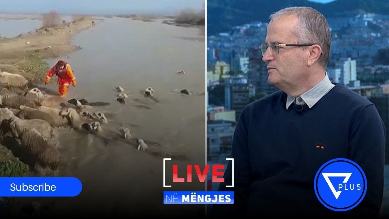 Rigjenerimi i ekosistemit, eksperti: Plani i pështatjes duhet të jetë rreth 10 mld euro