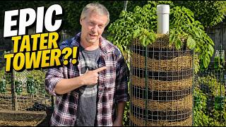 I Built an Amish Potato Tower! (Gardening Experiment!)